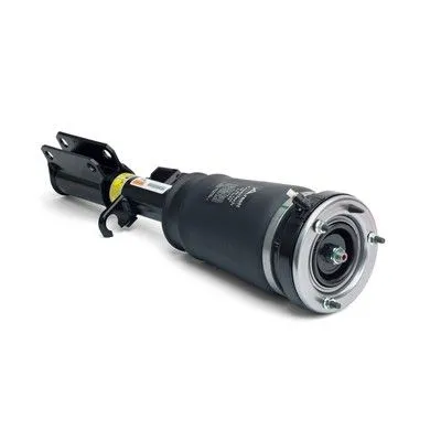 Pneumatische veerpoot