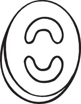 Houder, uitlaatsysteem