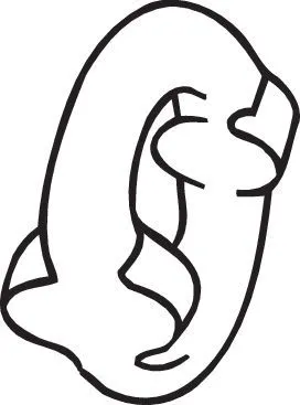 Houder, uitlaatsysteem